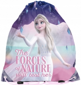 WOREK NA OBUWIE PASO FROZEN KRAINA LODU